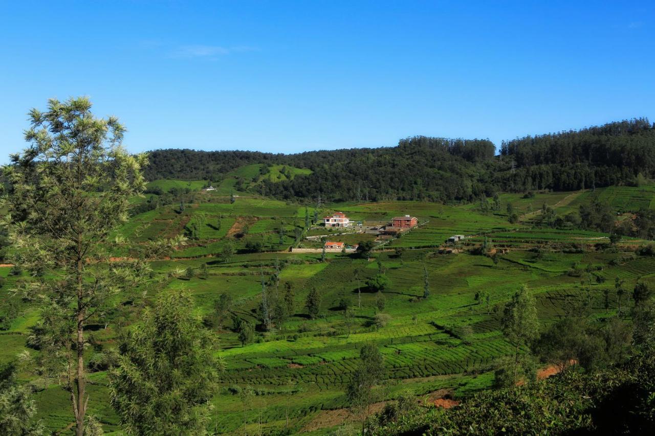 Western Valley सहारा 3*